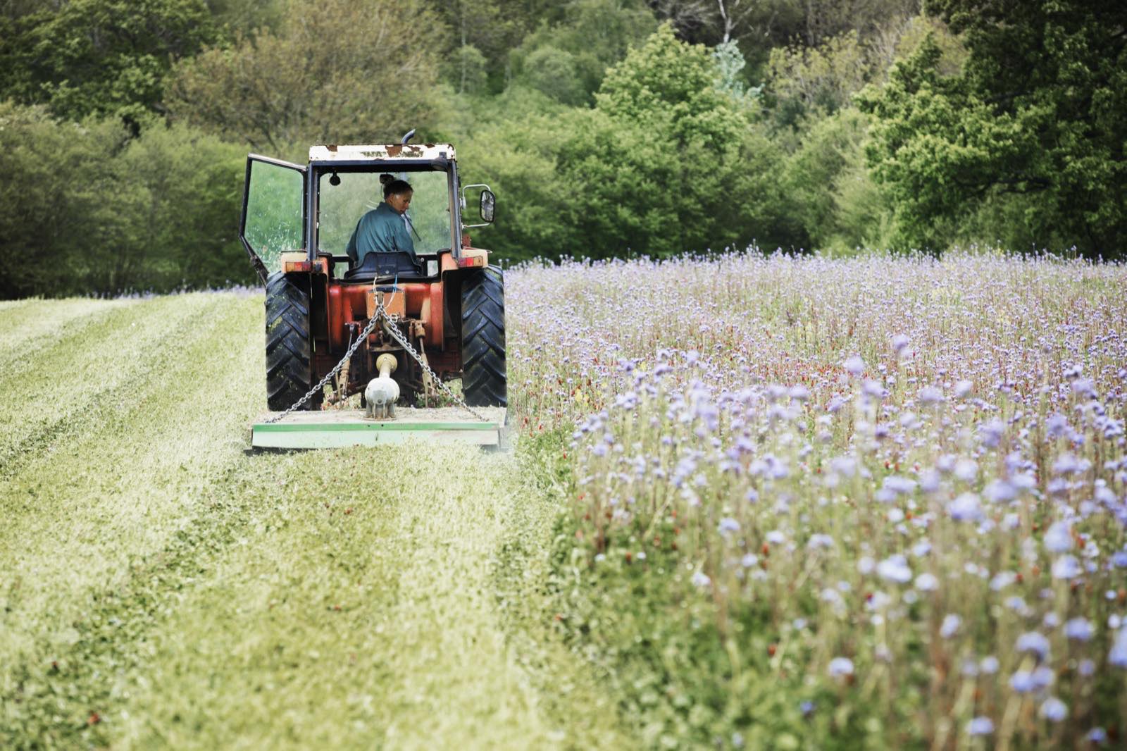 Traktor se žací lištou seče louku